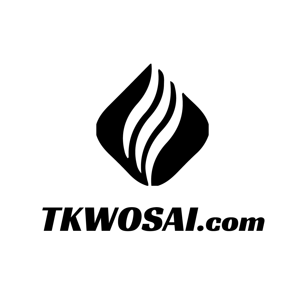 TKWOSAI-TIKTOK导航工具